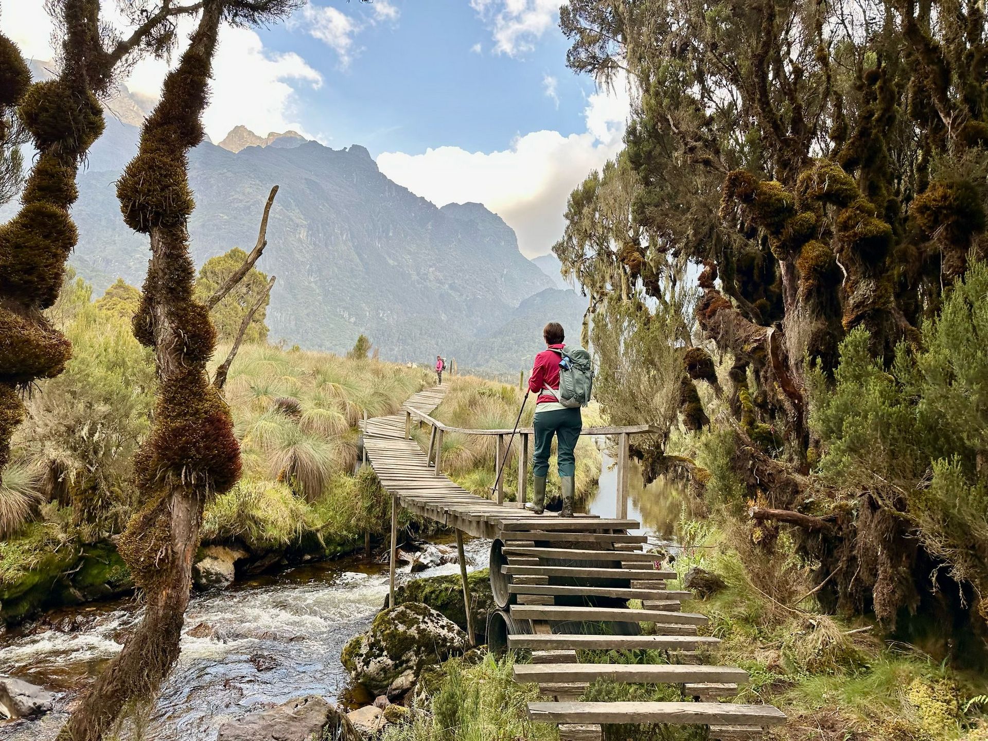 7 Days Rwenzori Mountains Expedition to Margherita peak (5109m)